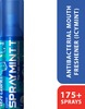 Spraymintt Mouth Freshener Icymint Flavour 15Grm