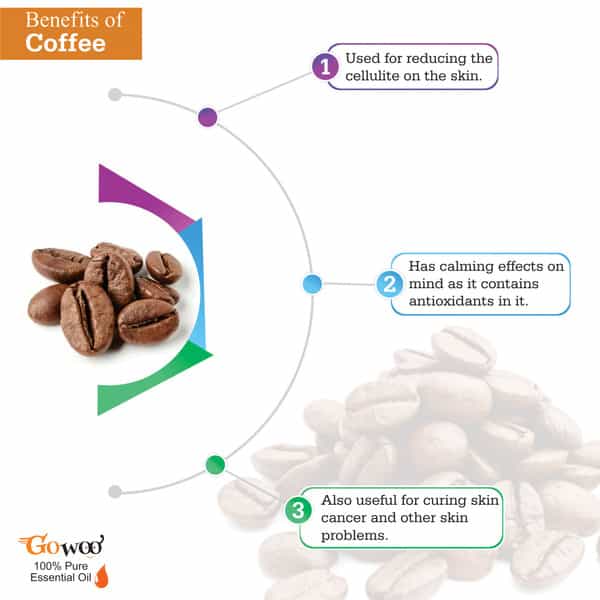Pack Of 2 Coffee Essential Oil And Moringa Seed Carrier Oil - 100% Natural Undiluted