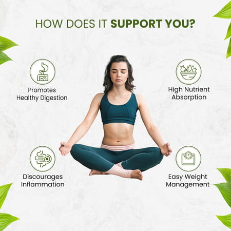 Himalayan Organics Organic Triphala Powder | Supports Digestion | Weight Loss | Immunity (350 Grams)