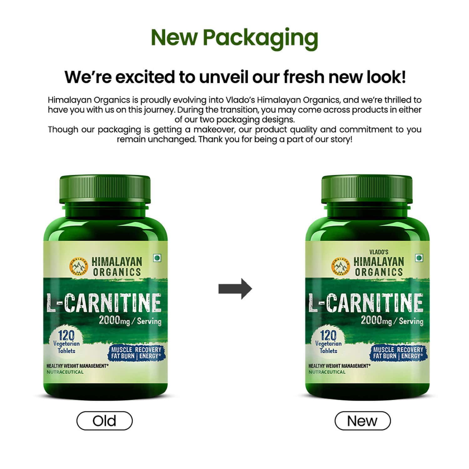 l carnitine amazon india L- Tartrate Effervescent tablet (Orange)- Pack of 40x2 Health & Personal Care Bestsellers: The most popular items