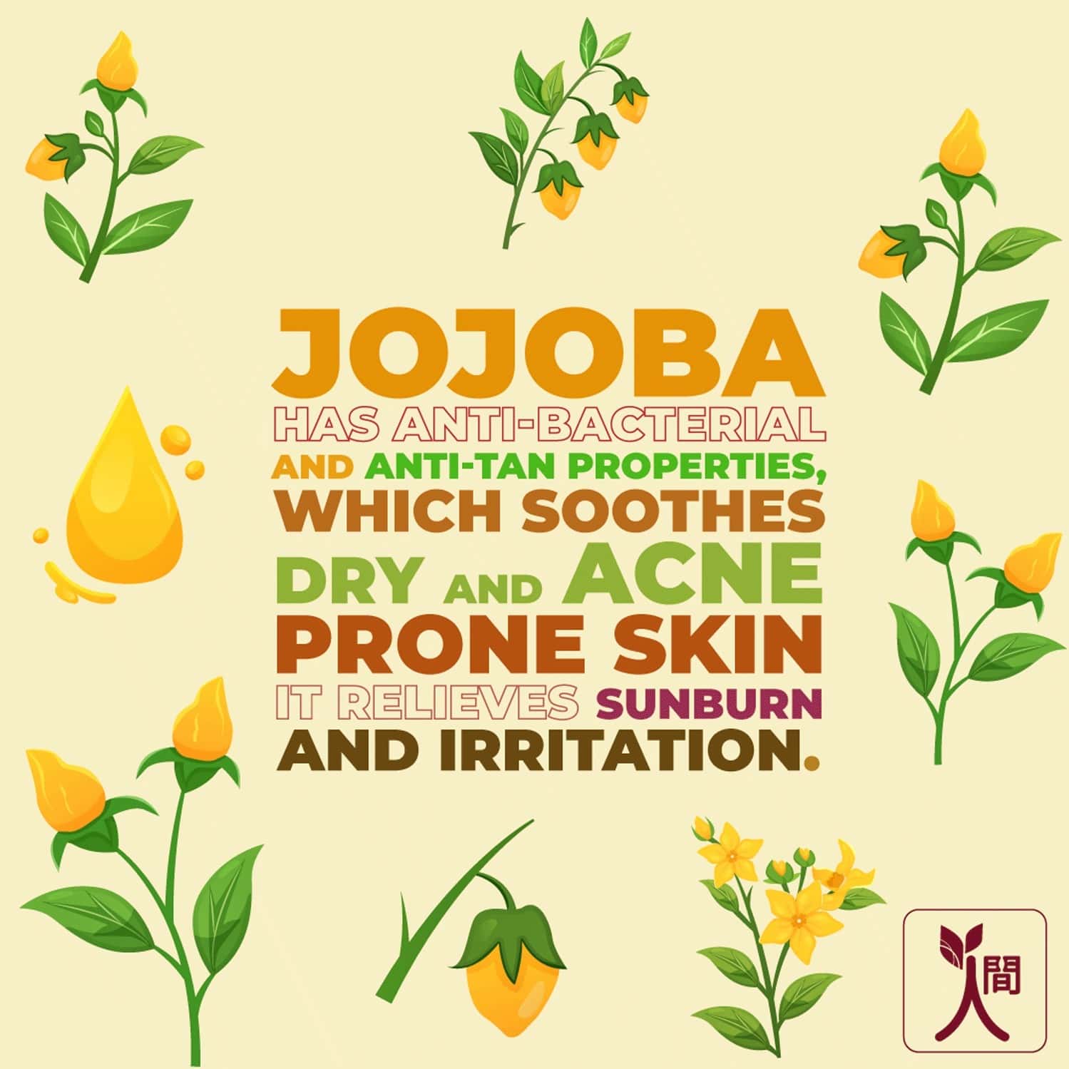 Buy NINGEN JOJOBA FACE WASH LOTUS APRICOT WHITE TEA I REMOVES DIRT DEAD