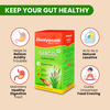 Baidyanath Isabgol (Psyllium Husk) Powder | Healthy Digestive Tract | Gluten Free - 200G