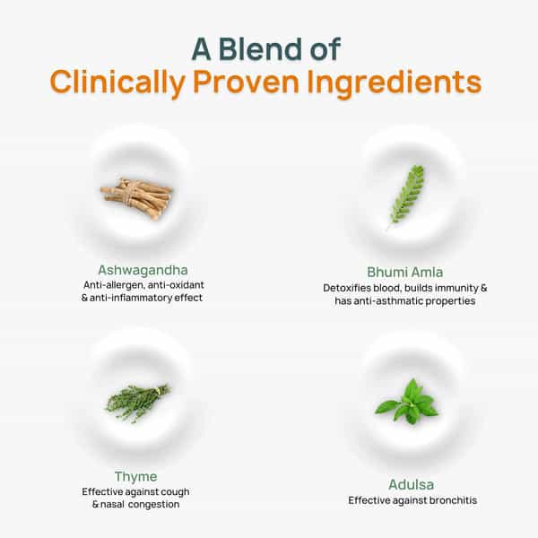 Bibo Breathofy Syrup | Lung Detox L All Coughs | 40% Honey | Adulsa Aswagandha Etc | 200Ml