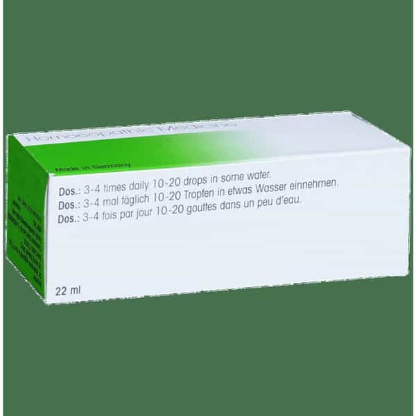 Dr. Reckeweg R77 Anti Smoking Drops 22 Ml