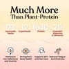 Kapiva Protein - Assortment Pack|Plant-Based Protein For Womens Health 420G 12 Servings | 2 Flavours