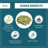 Bixa Botanical Senna Extract 60 Veg Capsules (450Mg) 20% Sennoside - For Digestive Wellness