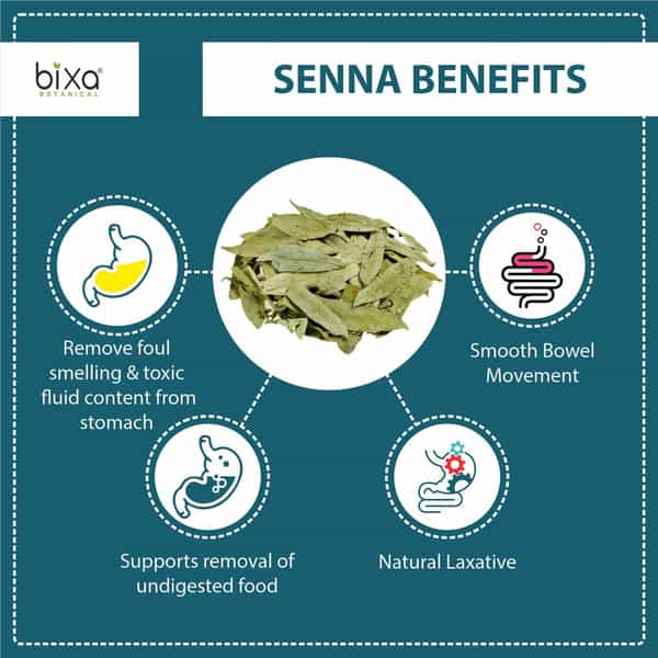 Bixa Botanical Senna Extract 60 Veg Capsules (450Mg) 20% Sennoside - For Digestive Wellness