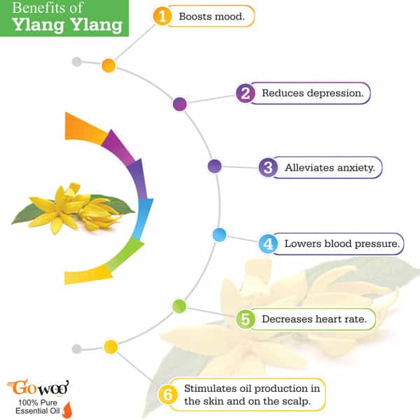 Go Woo 100% Pure Ylang Ylang Oil Therapeutic Grade For Perfumes Romance 50 Ml