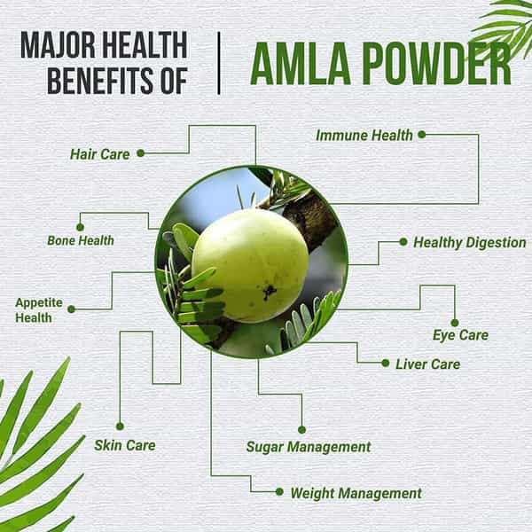 Ved Tattva Amla Powder For Digestion Hair Care 200 Gms