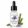Coco Crush Rosemary Essential Oil 15Ml | 100% Pure & Undiluted For Hair Growth & Scalp Stimulation
