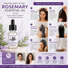 Coco Crush Rosemary Essential Oil 15Ml | 100% Pure & Undiluted For Hair Growth & Scalp Stimulation