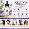 Coco Crush Rosemary Essential Oil 15Ml | 100% Pure & Undiluted For Hair Growth & Scalp Stimulation