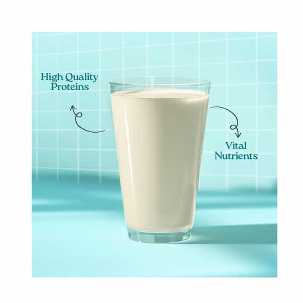 Prohance Activ Vanilla Flavour Jar 400 Gm