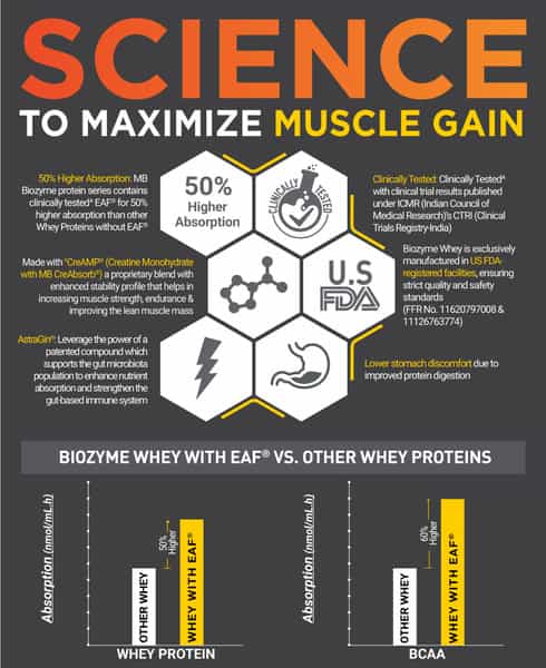 Muscleblaze Biozyme Whey Protein Pr | Molten Chocolate Cake | 1Kg | Trustified Gold Certified