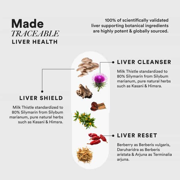 Wellbeing Nutrition Slow Liver Detox Supplement | Milk Thistle | Berberry + 6 Organic Herbs 60N