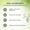 Four Seasons Noni Juice 500Ml - Goodness Of Garcinia & Ashwagandha | Immunity Booster