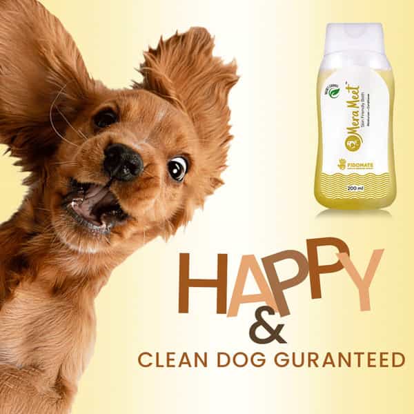 Fidomate Merameet Tea Tree Shampoo For Dogs Maintains Overall Skin Health- Paraben & Sulphate Free