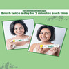 Dr. Morepen Active Smile | Tube | Herbal Toothpaste | 100 Gm | Free Bamboo Toothbrush | Pack Of 6