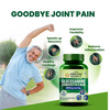 Vlado's Himalayan Organics Glucosamine Chondroitin Msm With Boswellia - 90 Tablets