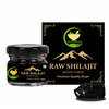 Fij Ayurveda Raw Ayurvedic Shilajit/Shilajit Resin (Semi Liquid) For Power Energy & Vitality - 20Gm