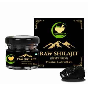 Fij Ayurveda Raw Ayurvedic Shilajit/shilajit Resin (semi Liquid) For Power Energy & Vitality - 20gm