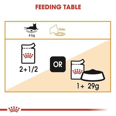 Royal Canin Intense Beauty Adult Cat Food | 85 Grams | Pack Of 12 Sachet | Wet Food