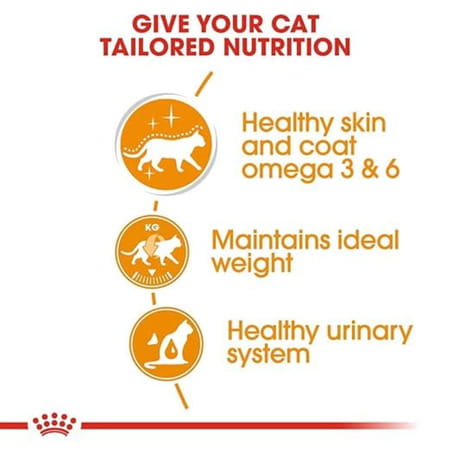 Royal Canin Intense Beauty Adult Cat Food | 85 Grams | Pack Of 12 Sachet | Wet Food