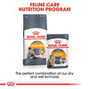 Royal Canin Intense Beauty Adult Cat Food | 85 Grams | Pack Of 12 Sachet | Wet Food