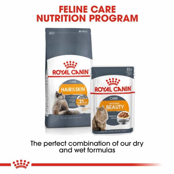 Royal Canin Intense Beauty Adult Cat Food | 85 Grams | Pack Of 12 Sachet | Wet Food