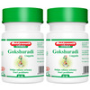 Baidyanath Asli Ayurved Gokshuradi Guggulu 80 Tablets (Pack Of 2)