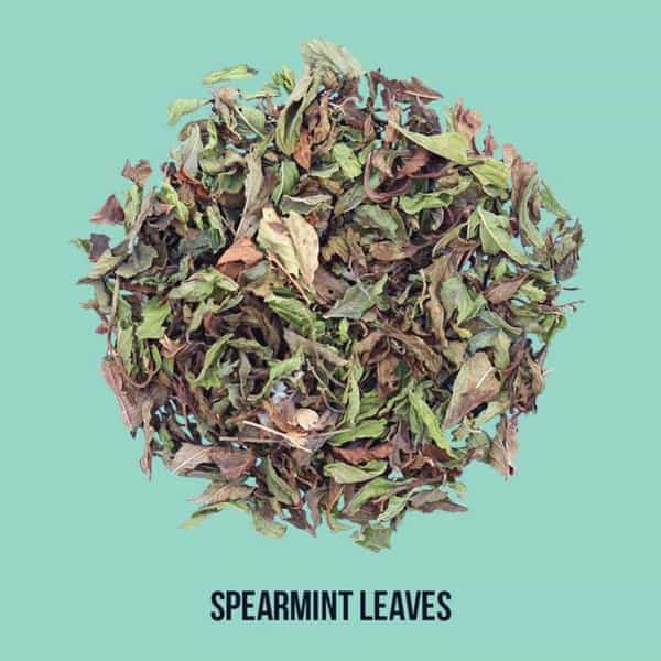 Tea Trunk Spearmint Leaves- 100G Pack