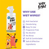 Captain Zack Wipe Right Anti-Bacterial Pet Wipes 80 Wipes