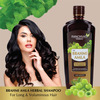 Panchvati Herbals Brahmi Amla Shampoo & Conditioner|Long, Voluminous Hair|Promotes Hair Growth|450Ml