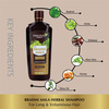 Panchvati Herbals Brahmi Amla Shampoo & Conditioner|Long, Voluminous Hair|Promotes Hair Growth|450Ml