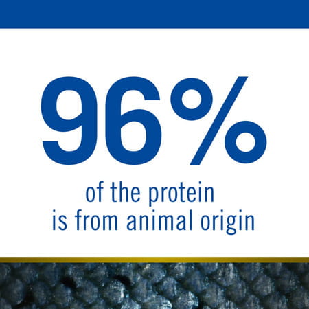 Farmina N&D Ocean Puppy Med/Maxi Dog Food | 12kg