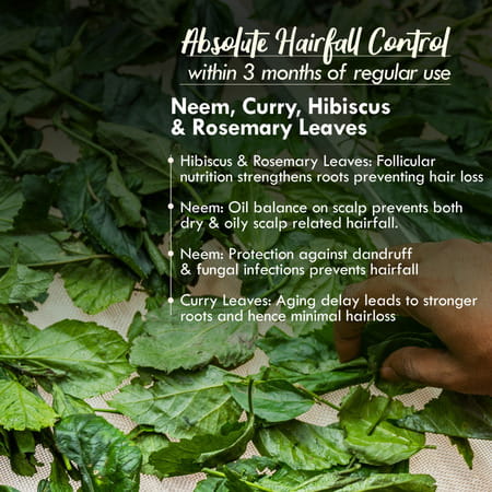 Nat Habit Tri-Leaf Fresh Hair Mask (Nutrimask) Hairfall Control (40g)