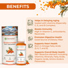 Pure Nutrition Seabuckthorn Pulp Concentrate 300 Ml