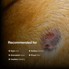 Sureklot Rapid Action Wound Powder For Animals (Pack Of 2) - 20 Ml