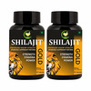Fij Ayurveda Shilajit/Shilajeet Gold Capsule - 800Mg 60 Capsules (Pack Of 2)