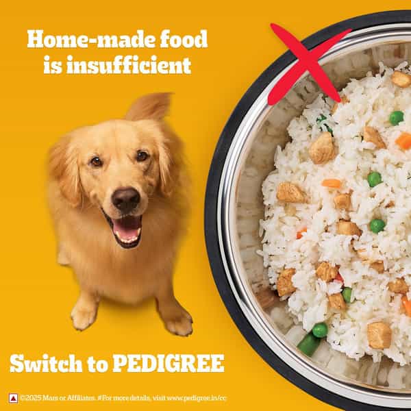 Pedigree Dog Food Adult Meat & Rice 1.2 Kg