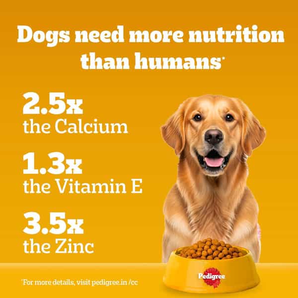 Pedigree Dog Food Adult Meat & Rice 1.2 Kg