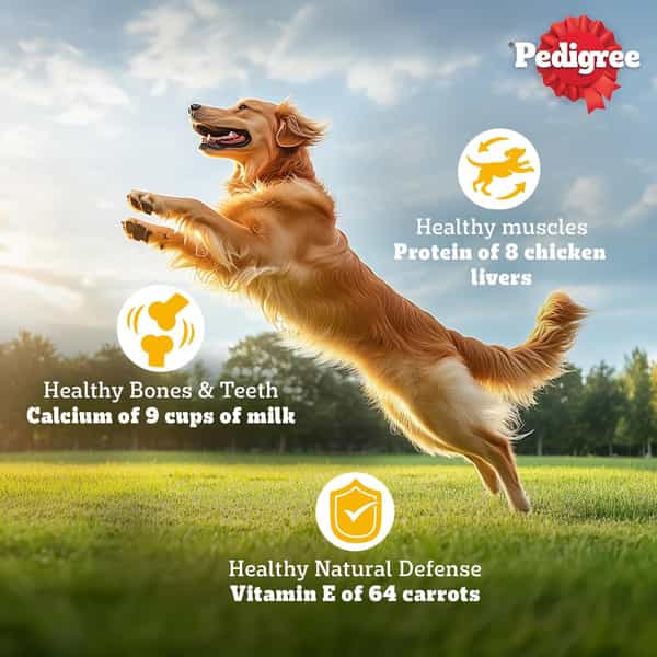 Pedigree Dog Food Adult Meat & Rice 1.2 Kg