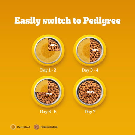 Pedigree Dog Food Adult Meat & Rice 1.2 Kg