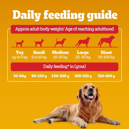 Pedigree Dog Food Adult Meat & Rice 1.2 Kg