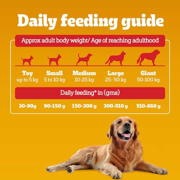 Pedigree Dog Food Adult Meat & Rice 1.2 Kg