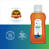 Vize Antiseptic Liquid - 100 Ml