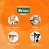 Himalaya Erina Fresh Foam Cleanser Dry Shampoo With Holy Basil & Tea Tree Oil For Dogs & Cats 150 Ml