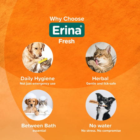 Himalaya Erina Fresh Foam Cleanser Dry Shampoo With Holy Basil & Tea Tree Oil For Dogs & Cats 150 Ml