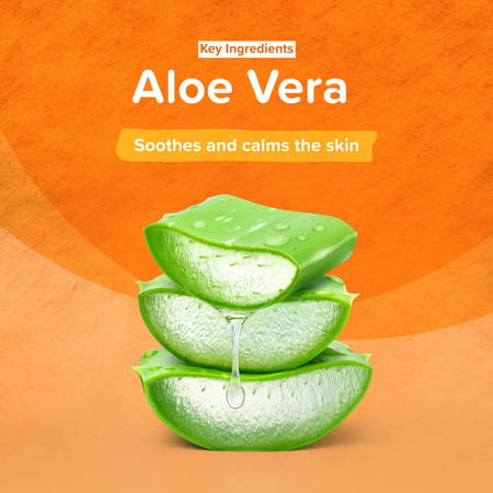 Himalaya Erina Fresh Foam Cleanser Dry Shampoo With Holy Basil & Tea Tree Oil For Dogs & Cats 150 Ml