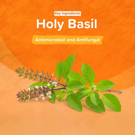 Himalaya Erina Fresh Foam Cleanser Dry Shampoo With Holy Basil & Tea Tree Oil For Dogs & Cats 150 Ml